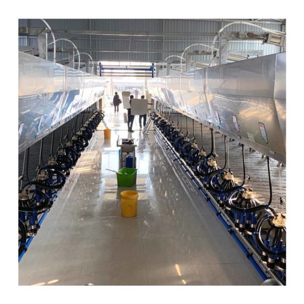 Quality Automatic Parallel Cow  Herringbone Milking Parlor Quick Release wholesale