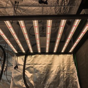800W 8Bars Samsung LM281B Full Spectrum LED Light For Indoor 4x4 ft Hydroponics