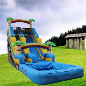 5-10 Passenger Capacity 2024 Inflatable White Water Slide Swing Set with