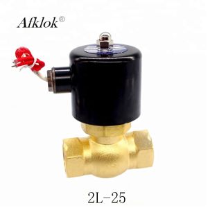 High Pressure High Temperature 1 inch Steam Solenoid Valve 220V AC