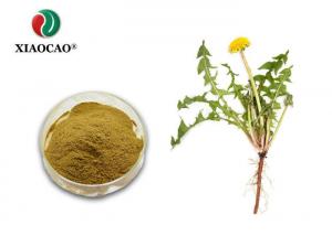 China CAS 68990-74-9 Dandelion Root Extract / Dandelion Root Herbal Supplement on sale