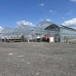 Year Round Nursery Hothouse Automated Dome Modular Multispan Tunnel Greenhouse