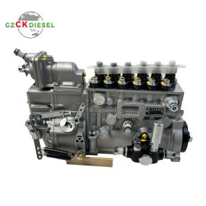 Fuel Injection Pump BH6P110 5676 BH6P120 P10Z010 P10Z002 For C6121 Engine