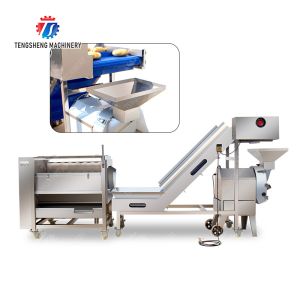 Roller washing and cutting production line Fruit Vegetable FOOD processing