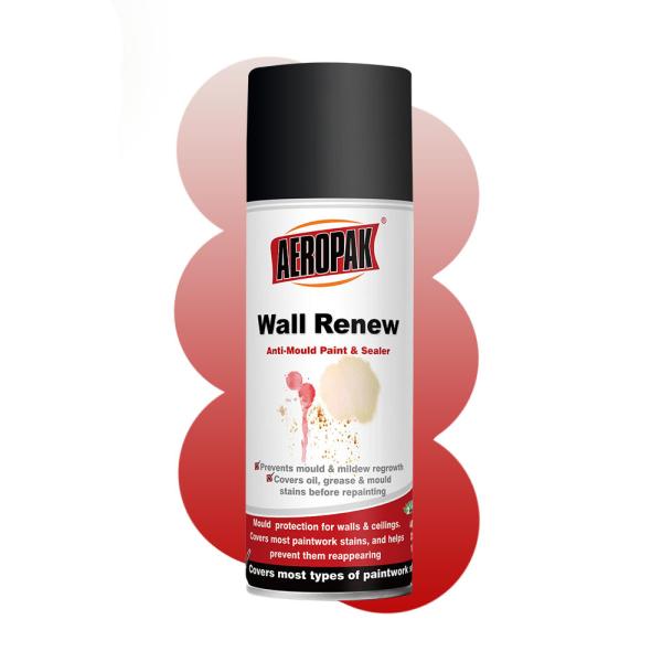 Quality 400ml Aerosol Anti Mould Stain Block Wall Spray Paint for Interior Walls and Ceilings wholesale