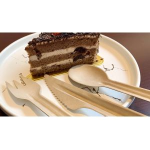 China Compostable Disposable Bagasse Serving Spoons Cutlery on sale