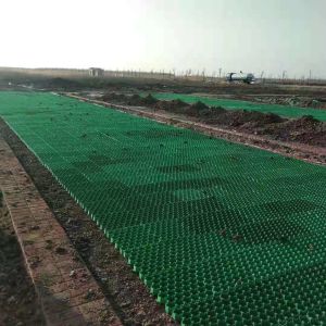 High Support Force Modern Design Black Green Plastic Grass Paver Grids for