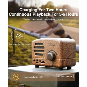 2019 Classic Wooden Pink Black Blue Color Round BT Bluetooth Hifi Speaker with