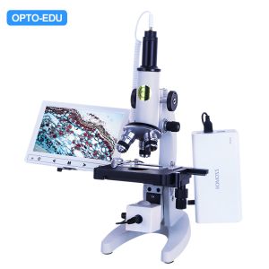 Cheap Biological 2.0m Usb WF16x Handheld Digital Microscope for sale