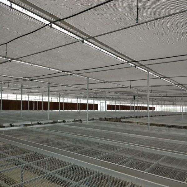 Quality Agricultural Equipment Greenhouse Bench Systems for Seedling Nursery wholesale