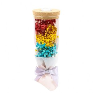 Preserved Babysbreath Wish In A Bottle Gift With Beautiful Appearance