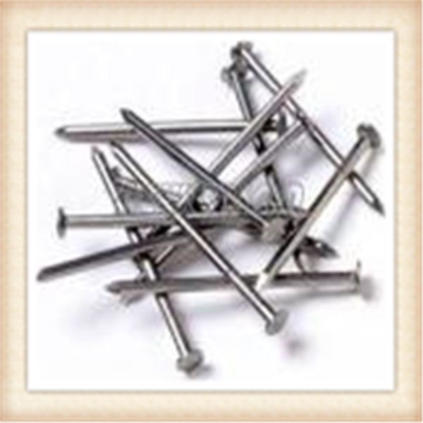 Quality Polished Bright Common Wire Nail Q195 4" x BWG8 wholesale