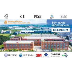 Hight Quality Anti-3D Leak Guard Best Price Baby Pull up Pants Diaper