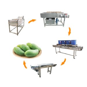 Hot selling Factory Direct Vegetable Washer Manual Loading by Huafood