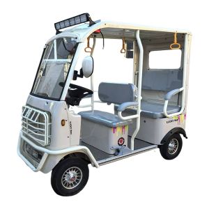 Compact 4-Passenger Capacity Electric Passenger Four-Wheeler with 800W Motor and