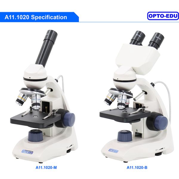 A11.1020 LED 400x Achromatic Student Binocular Biological Microscope