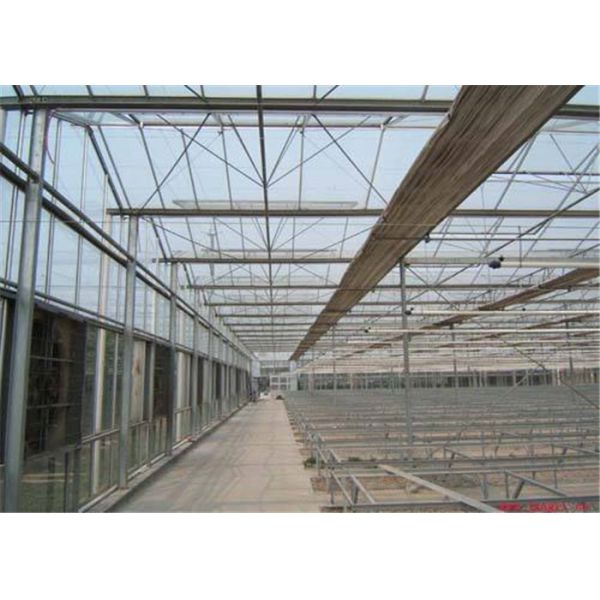 Quality Commercial / Agricultural Greenhouse Shading Systems Premium Shading Net wholesale