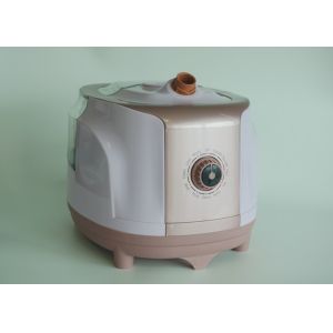 Cheap Clothing Fabric Vertical Portable Garment Steamer Max Air Output For Hotel for sale