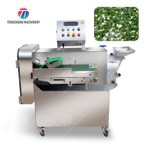 Double head vegetable cutting machine papaya chieh qua pumpkin wax gourd Ginger