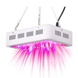 China High Reliability Double Chip LED Grow Light With Overheat Protection on sale