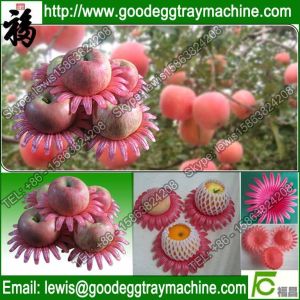 EPE pan foam tray for peach packing