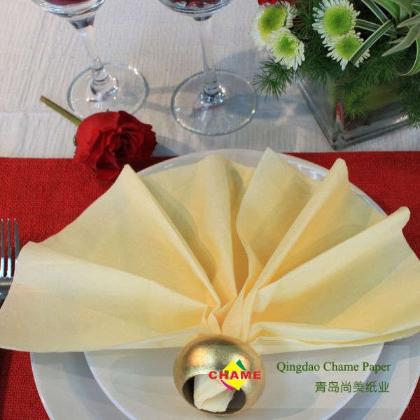 Modern 2-3ply 25*25cm Multi Color Paper Napkin For Restaurant