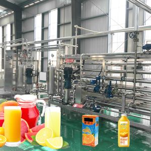 SUS304 500T/D Citrus Processing Line Automatic Juice Extracting