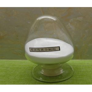 White Animal Feed Enzymes Mycotoxin Degrading Enzyme Improving Animal Intestinal