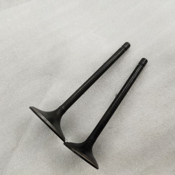 DAYANG Three Wheel Motorcycle Tricycle Black Iron Engine Forging Valve with Materials