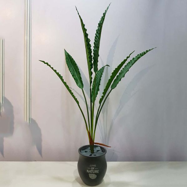 Quality High Imitation Bird Nest Fern Artificial Branches 85 Cm For Home Decoration wholesale