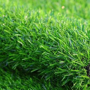 50mm Height Sports Artificial Grass Turf for Soccer Field Football Field Carpet