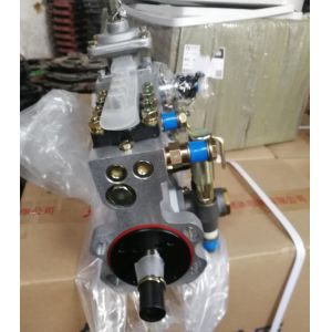 YTO diesel fuel injection pump assembly BH4PY105Y1479BZ