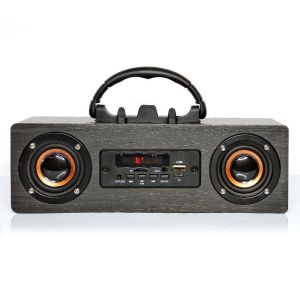 10W Wireless Portable Bluetooth Speakers With Radio Antenna Connectivity