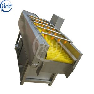 Commercial Brush Root Vegetable Washing Machine For Bamboo Shoots / Mushrooms