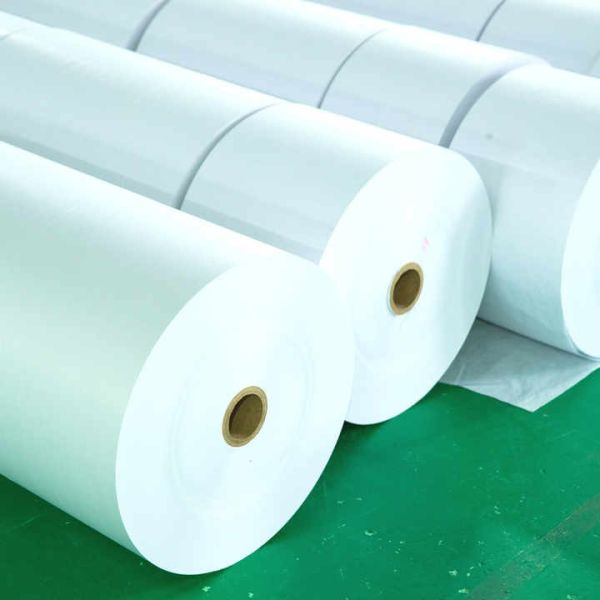 Small Roll High Quality Release Paper Coated Paper/Silicone Paper Jumbo Roll/Pe