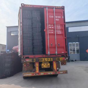 HDPE Grass Paving Grids for Parking Lot Fire Escape Eco-Friendly and Low