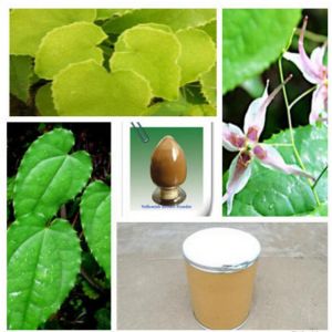 Epimedium PE Icariin 10%