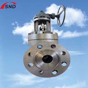 6 Inch 5A-2500 Class Dual Stainless Steel Gate Valve with Middle Bolt Design for