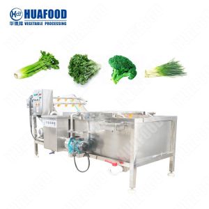 Vegetable and Fruit Processing Double Bubble Washer Type Industrial Washing