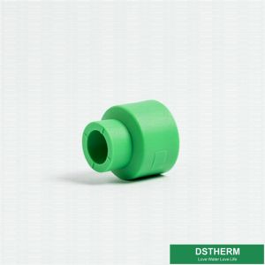 20mm Green Plastic Pipe Fitting Ppr Equal Coupling For House With OEM ODM