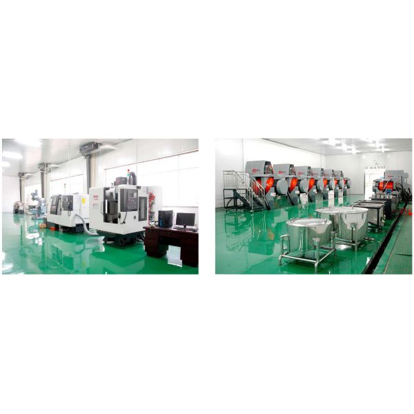 Cemented Carbide Stamping Mold Tungsten Carbide T-Shaped Die for Metal Processing