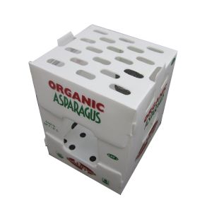 Polypropylene Vegetable Packaging Box Customized PP Corrugated Plastic Box