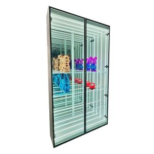 Professional Customized Thickness Display Case for Commercial Space DC12V/AC110