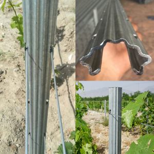2.4m 2.5m Galvanised Steel Vineyard Posts Substitute Of Cement Posts And Wooden Posts