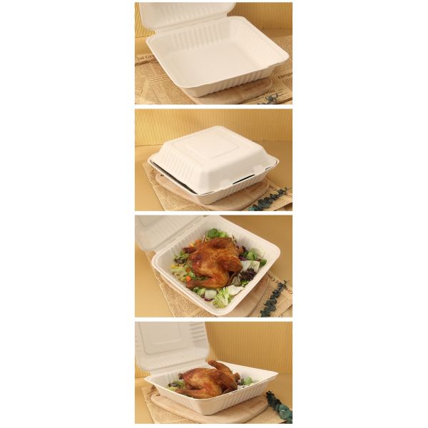 9x9inch Disposable Microwavable Clamshell Takeaway Boxes