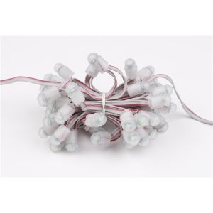 Cheap Miracle Bean SMD2025 LED Pixels Module 0.15W 1300mcd Waterproof for sale