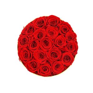 Real Touched Preserved Rose Gift Box Never Fade Flowers With Natural Looking