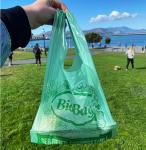 Flexiloop Handle Compostable Mailing Bag with Custom Printing PLA and PBAT