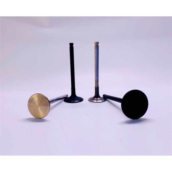 Quality 3142H071 3142A151 Diesel Exhaust Valve Practical Fit Perkins 3054C wholesale