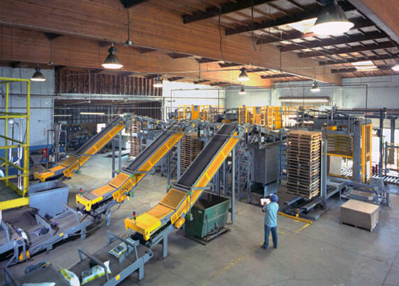 Quality Carton Automated High Level Palletizer Load Holding / Moving Multi - Functional wholesale